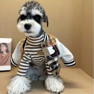 Designer Dog Accessories Outerwears Autumn Spring Baseball Jacket Cat Plush Thickened Warm Coat Teddy Clothing Knitwear 045