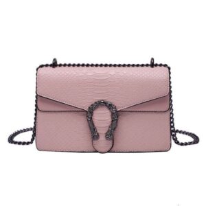 Light Luxury Niche High-end Small Square for Women New Shoulder Chain Dionysus Crossbody Bag Bags