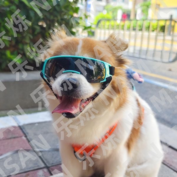 Pet Windproof And Waterproof Glasses New Design Elastic Strap Adjustable Fit Small And Medium Dog Sunglasses UV Protective Goggles