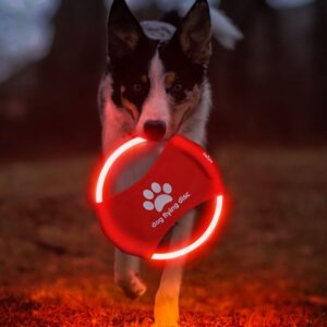 Pet Frisbee Toys Luminous Dog Frisbee Training Throwing Sports Accompanying Pets For Happy Play Outdoor Pet Toys