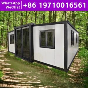 Frame Steel Structure Mobile Homes Mobile Houses Ready to Live in 2 Bedroom Waterproof Super Cheap Prefabricated House Hot Sale
