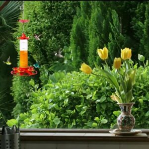 300ML Bird Feeder Drinker Hanging Honey Water Bird Feeder Anti-ants Leakproof Hummingbird Drinker for Home Garden Feeding Supply