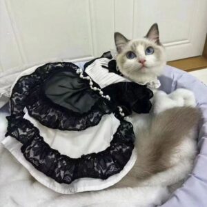 Adorable Pet Top with Pom Trim & Puffed Sleeves – Spring/Summer Polyester Outfit for Small Breeds