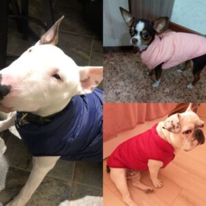 Winter Pet Coat Clothes For Dogs Winter Clothing Warm Dog Clothes For Small Dogs Christmas Big Dog Coat Winter Clothes Chihuahua