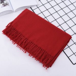 10710 Cashmere scarf embroidery event celebration party warm