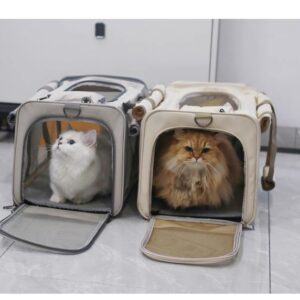 The portable large sterilized hand-held pet spring summer outings. It a canvas cat bag for two cats to carry and is breathable