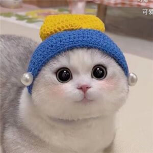 Dog Accessories Cute Refined Cat Hat Elastic Autumn Winter Pet Puppy Kittens Knitted Hat Party Photo Shoot Props Decoration Supplies