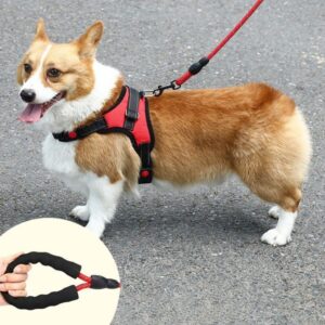 Supplies Harness Large Pet Vest Collar Dog Walking Leash