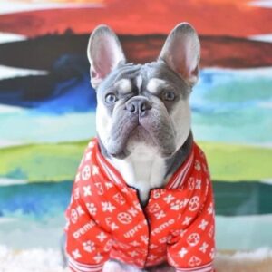 Designer Quilted Teddy Autumn and Winter Warm Dog Jacket Clothes Classic Fashion