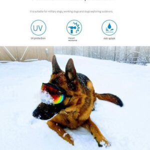Pet Protective Glasses Original Appearance Design Outdoor Sports M Size/large Dog Sunglasses Anti Uv transparent/blue lens Goggles