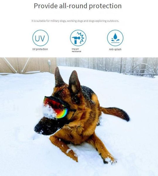 Pet Protective Glasses Original Appearance Design Outdoor Sports M Size/large Dog Sunglasses Anti Uv transparent/blue lens Goggles