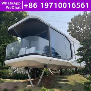 Space Capsule Home Garden Houses Prefabricated Modular House Housing Good Quality Mobile House Luxury Hot Sale Customize Design