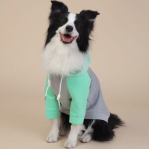 All Weather Four – Legged Windproof Coat Fit for Small and Medium Dogs with an Inclusive Design