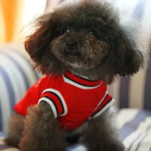 Designer Clothes Sports Vests Mesh Dog Basketball Team Uniform Shirts for Chihuahua size XXS-L Pet Products HF48