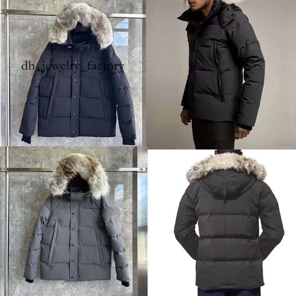 mens Winter jacket Wyndham jacket Parka Homme Warm Outerwear Wolf Fur Hooded down jacket Red logo black logo coat mens hooded puffer jacket EU size XS-2XL 2d1
