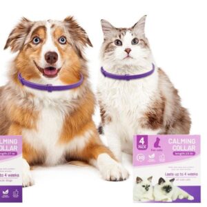 Pet Flea Collar Tick Prevention for Dogs Soothes Anxiety Relieves Adjustable Waterproof Collar Cat Supplies Pet Supplies