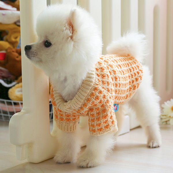 Winter Apparel Knitted Turtleneck Warm Puppy Sweatshirt Pullover Cute Classic Cat Sweater Dog Coat Pet Holiday Clothes for Small Dogs ad2