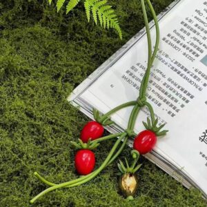 High quality Designer bag chain Charm Cherry Charm Fashion Women Keychain Vintage Cool Cherry Pattern Refreshing Style Keychains Hangings 01