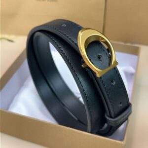 Fashion belt brand gold sier buckle cintura belts for women designer cinture width 2.5cm gift high quality 2024