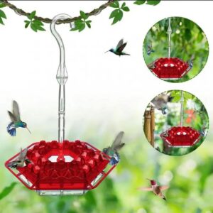 Sleek Hummingbird Feeder with Perch and Built-In Ant Moat for Safe Drinking Experience