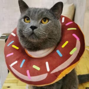 Dog Accessories Adjustable Cat Recovery Collar Cute Cat Donut Collar Soft Cone Collars for Cat Wound Healing Protective Cone After Surgery
