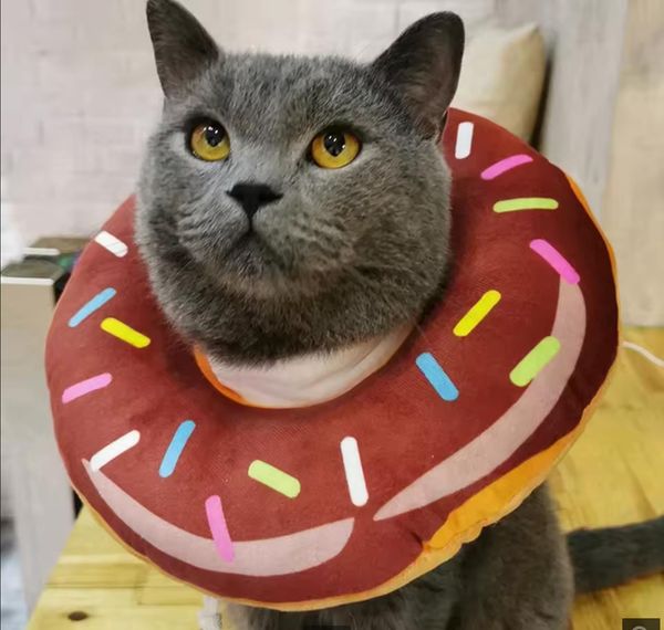 Dog Accessories Adjustable Cat Recovery Collar Cute Cat Donut Collar Soft Cone Collars for Cat Wound Healing Protective Cone After Surgery