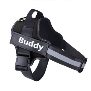 Personalized Dog Harness NO PULL Reflective Breathable Pet Harness Vest For Small Large Dog Outdoor Walk Training Accessories