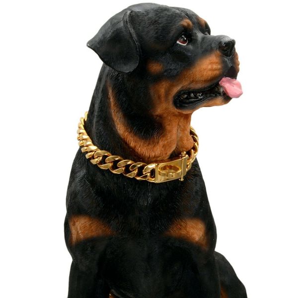 Dog Collars Cat Chain Collar With Dia Metal Material cm Width Perro Rap Hip Hop Cuban Pet Jewelry Supplies Medium Large Dogs Gold Solid dcb