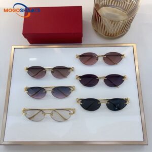 oval women designer sunglasses men rimless small ladies luxury glasses lenses metal alloy cheetah reading prescription frame buffalo horn occhiali sole 0504S
