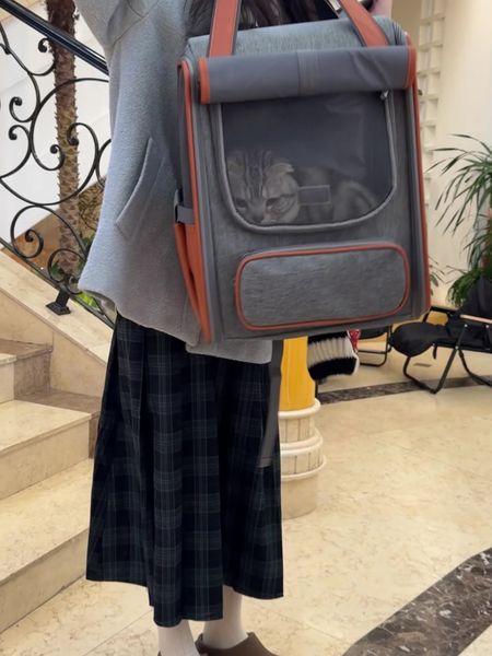 New cat bag Space capsule pet backpack Large capacity go out portable shoulder pet dog backpack cat bag