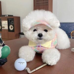 T681 Spring and summer dia check contrast color golf lapel clothes for teddy bear schnauzer dog cat