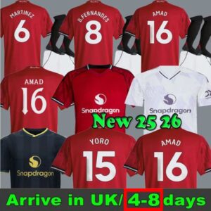 baby kids kit mainoo 24 25 rashford united soccer jerseys antony martinez hojlund casemiro erien 2025 2026 football shirt tracuits martial b fernandes men