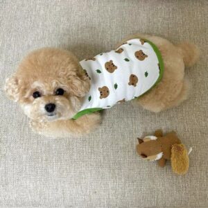 Autumn outfit new pet teddy bear clothes Teddy Schnauzer Pomeranian VIP small dog plush cotton vest