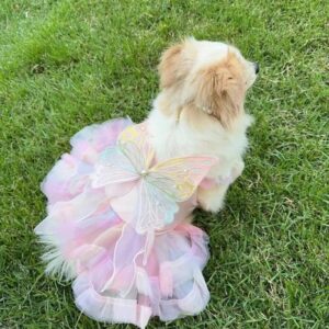 Pet Rainbow Fairy Magic Pink butterfly wings Spring Summer cat than bear Teddy VIP Golden Corgi fairy dress