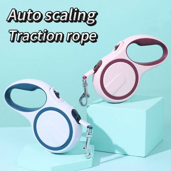 5M Dog Leash Automatic Retractable Cat Leash Dog Walking Harness Leads Extending Rope For Small Medium Pet