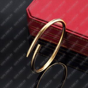 Nail Bracelet Designer Cuff Bracelets Luxury Jewelry Screw Bracelets Fashion Women Men Love Gift Size Without Box