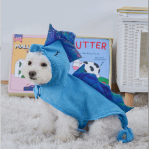 Final Clearance Trendy Dog Clothes at Rock-Bottom Prices – Dont Miss Out