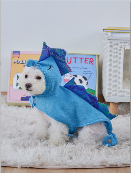 Final Clearance Trendy Dog Clothes at Rock-Bottom Prices - Dont Miss Out