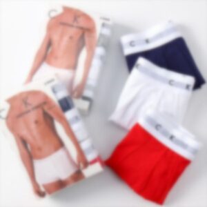 2025ss Brands Men's Underwear Designer Underwear Sexy Pure Cotton Boxers American Fashion Brand High-quality Breathable Quick Drying 5-pack