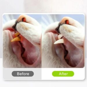 Cat-Friendly Teeth Cleaning Teethers – Organic Silvervine and Raffia Grass Toys