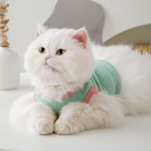 Spring Summer Lightweight Herringbone – Patterned Shirts Small Cats and Puppies. Ideal for Siamese, Chihuahuas, Yorkies
