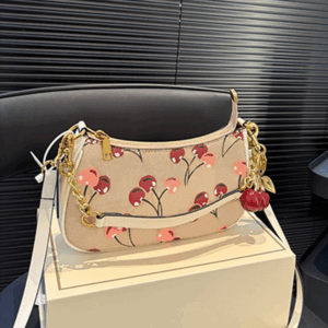 Mini hobo bag fashionable commuting bag classic underarm bag luxury designer bag women's shoulder bag high-end handbag practical crossbody bag shopping bag