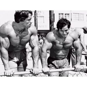 Franco Columbu Poster Painting Print Home Decor Framed Or Unframed Photopaper Material