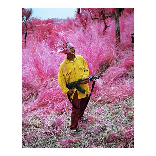 Richard Mosse Photography Birdland web Poster Painting Print Home Decor Framed Or Unframed Photopaper Material
