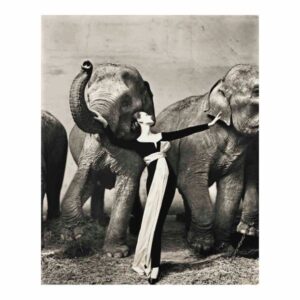 Richard Avedon Dovima With Elephants Evening Dress Poster Painting Home Decor Framed Or Unframed Photopaper Material