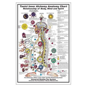 Taoist Inner Alchemy Anatomy Chart Poster Painting Print Home Decor Framed Or Unframed Photopaper Material