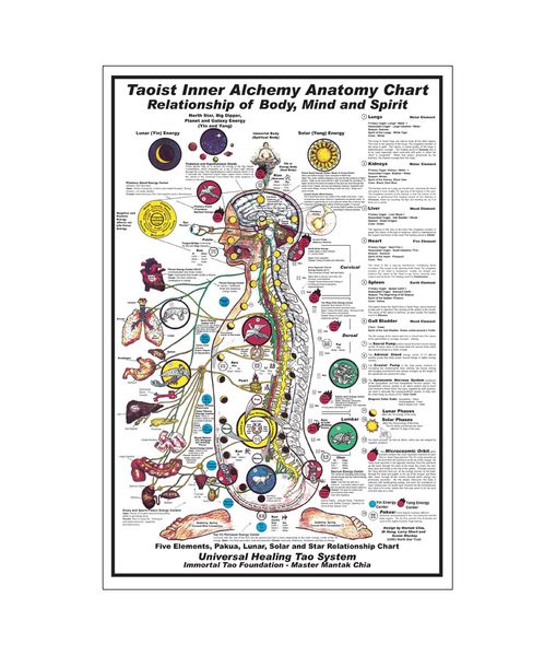 Taoist Inner Alchemy Anatomy Chart Poster Painting Print Home Decor Framed Or Unframed Photopaper Material