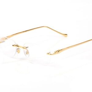 Clear Frame Sunglasses Designer Glasses Vintage Women Men Brand Design Summer Shades Colored lenses Alloy Eye Glasses New Leopard Fashion Come with Origina box