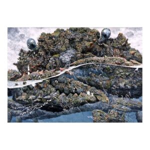 Ikeda Manabu Ink Drawing Painting Poster Print Home Decor Framed Or Unframed Photopaper Material