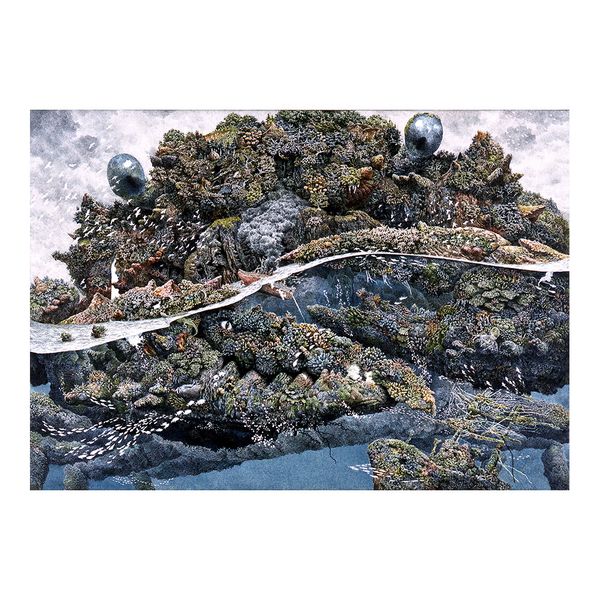 Ikeda Manabu Ink Drawing Painting Poster Print Home Decor Framed Or Unframed Photopaper Material